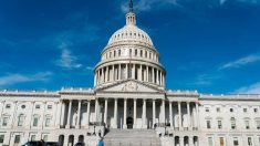 Cámara de representantes «no volverá a Washington por lo menos hasta el 20 de abril»