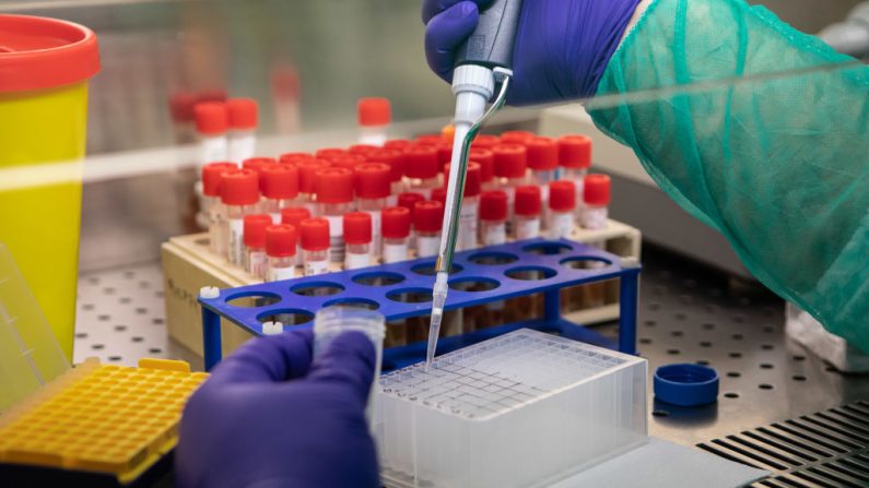 Un trabajador de laboratorio intenta aislar la presencia del coronavirus durante un proceso de prueba de hisopado en el laboratorio de biología molecular del Ospedale Niguarda, el 5 de marzo de 2020 en Milán, Italia. (Emanuele Cremaschi/Getty Images)