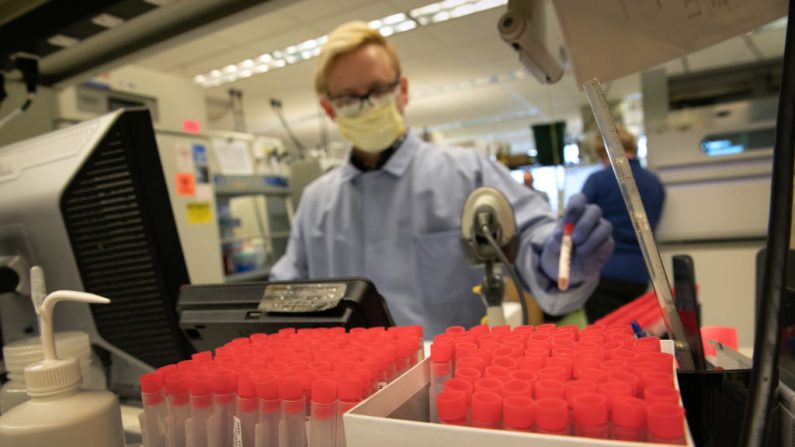 Un científico del laboratorio médico hace pruebas del virus del PCCh en el laboratorio de virología de la Universidad de Washington el 13 de marzo de 2020 en Seattle, Washington. (Foto de John Moore/Getty Images)
