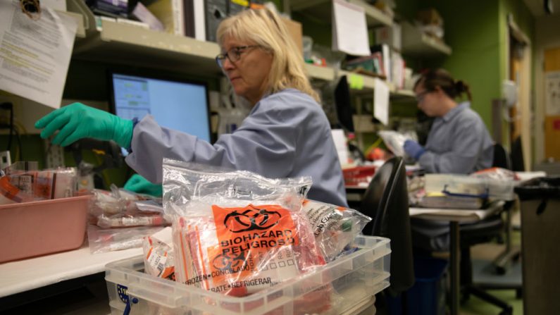 SEATTLE, WASHINGTON - 13 DE MARZO: Un científico de un laboratorio médico recibe paquetes de muestras para comprobar si hay coronavirus en el laboratorio de virología de la Universidad de Medicina de Washington el 13 de marzo de 2020 en Seattle, Washington.  (Foto de John Moore/Getty Images)
