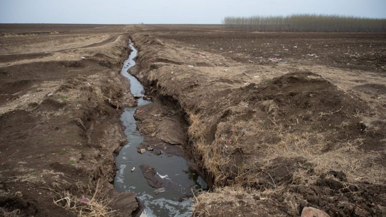 Una tubería libera aguas residuales en los campos que rodean una granja lechera (no representada) en el condado de Gannan, provincia de Heilongjiang, China, el 3 de mayo de 2016. (Nicolas Asfouri / AFP a través de Getty Images)
