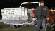 Perro policía de Texas encuentra 1.2 millones de dólares en metanfetaminas dentro de semirremolque