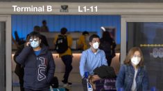 Más países que enfrentan restricciones de viaje en medio del coronavirus, dice el jefe de la TSA
