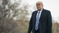 Trump dice que ley de alivio reactivará la economía «muy rápido»