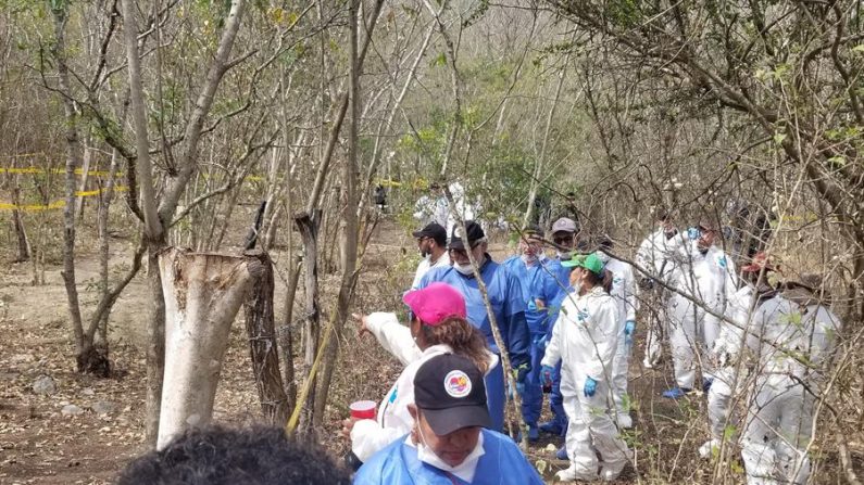 Familiares de desaparecidos trabajan en la exhumación de fosas clandestinas el pasado jueves, 28 de febrero de 2019, en El Mante (México). EFE/ Str/Archivo
