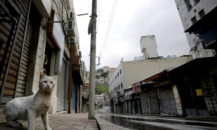 Un gato solitario camina por una calle del mercado en el centro de la capital jordana, Amman, durante un toque de queda nacional impuesto por las autoridades para controlar la propagación del virus del PCCh, el 21 de marzo de 2020. (Khalil MazraawiAFP vía Getty Images)