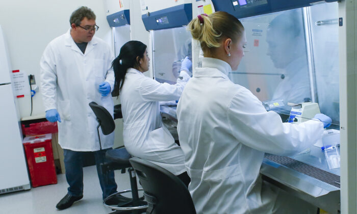 Un investigador trabaja en un laboratorio que está desarrollando pruebas para el coronavirus, COVID-19, en el Hackensack Meridian Health Center for Discovery and Innovation en Nutley, Nueva Jersey, el 28 de febrero de 2020. (Kena Betancur/Getty Images)