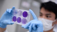 NIH habilita nuevo laboratorio de ensayos clínicos para vacuna contra COVID-19 en Atlanta