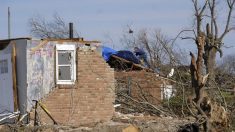 Los impactantes videos de una cadena de tornados que dejó más de 20 muertos y destrucción en EE.UU.