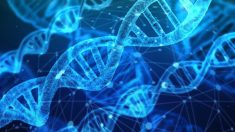 La promesa y los peligros de la edición genética