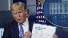 Trump promulga orden para evitar acaparamiento y alza de precios de suministros «críticos»