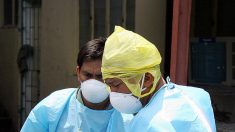 Filipinas detecta brote de gripe aviar H5N6 que puede transmitirse a humanos en medio de COVID-19