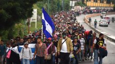 Honduras: Nueva caravana migrante parte hacia EE.UU. en medio de preocupaciones por COVID-19