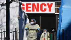 Nueva York informa casi 6500 nuevos casos del virus del PCCh y 100 nuevas muertes