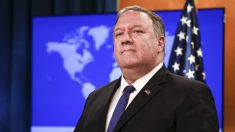 Pompeo pide a los países información «transparente» sobre el virus del PCCh para salvar vidas