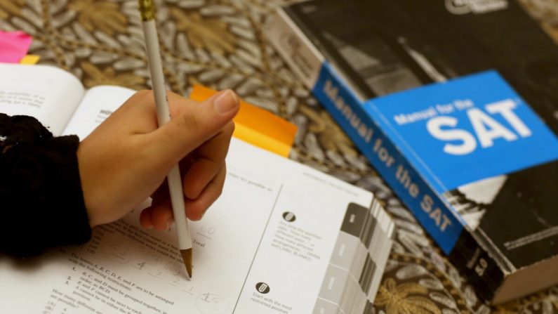 Un estudiante usa un libro de preparación de SAT de Princeton Review para estudiar para el examen en una foto de archivo. (Joe Raedle/Getty Images)