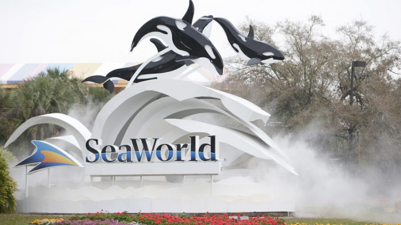 Cartel de la entrada de SeaWorld, en Orlando, Florida, en una foto de archivo. (Matt Stroshane/Getty Images)