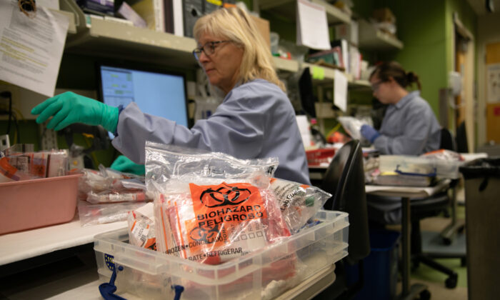 Un científico de un laboratorio médico recibe paquetes de muestras biológicas en el laboratorio de virología de la Universidad de Medicina de Washington en Seattle, Washington, el 13 de marzo de 2020. (John Moore/Getty Images)