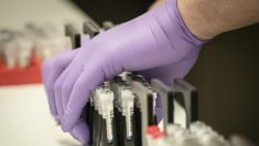 Gobierno de EE.UU. emite una aprobación de emergencia para nueva prueba de coronavirus