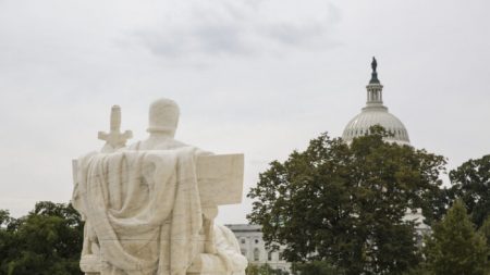 Estados instan a la Corte Suprema a detener la regla de «carga pública» durante la pandemia