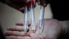 Peor epidemia de dengue en tres años deja 7862 casos en 8 meses en Argentina