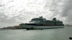 Muere tripulante de crucero de Royal Caribbean anclado en costas de Florida