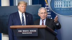 El presidente Trump no va a despedir al Dr. Fauci, dice la Casa Blanca