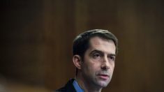 Senador Cotton pide salida de EE.UU de tratado que prohíbe pruebas nucleares luego de ensayos de China