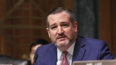 Ted Cruz impulsa proyecto de ley para que Hollywood deje de censurar películas obedeciendo al PCCh