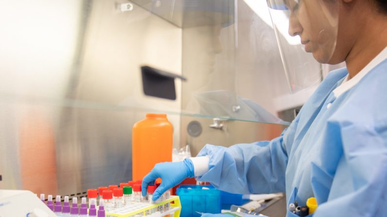 Un técnico de laboratorio comienza las pruebas semiautomáticas para COVID-19 en Northwell Health Labs en Lake Success, Nueva York, el 11 de marzo de 2020. (Andrew Theodorakis/Getty Images)