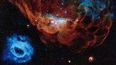Hubble celebra 30 años con la imagen de una espectacular “arrecife cósmico”