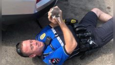 Oficial de policía rescata a 2 pequeños gatitos del estacionamiento de TJ Maxx, y mira quien los adopta