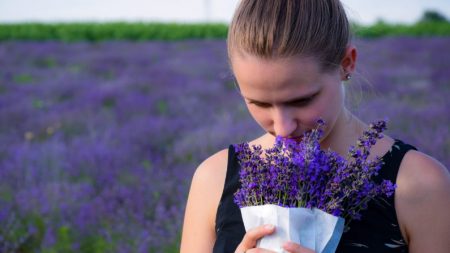 7 usos curativos para el aceite esencial de lavanda