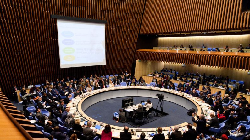 Salón de reuniones de la sede de la Organización Mundial de la Salud (OMS), el 30 de octubre de 2018, en Ginebra, Suiza. (Harold Cunningham/Getty Images)
