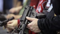 Ley que exige antecedentes para comprar municiones violó la Segunda Enmienda, dictamina juez