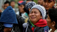 Capturan a cabecilla del Clan del Golfo acusado de asesinar a líder indígena en Colombia