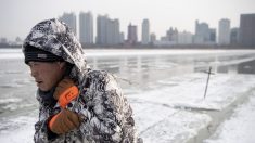 La segunda ola de brotes del virus estalla en la ciudad de Harbin, al norte de China