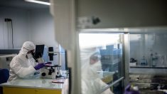 Científicos colombianos aíslan en laboratorio agente de COVID-19 para estudio