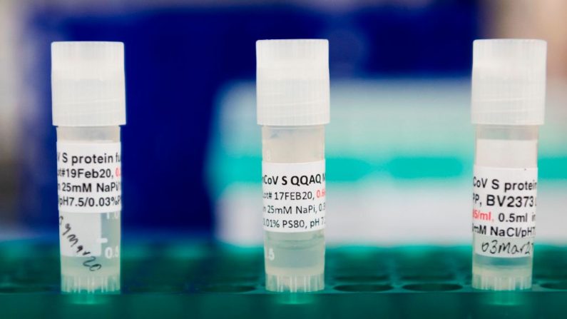 Tres vacunas potenciales contra el virus del PCCh, se mantienen en una bandeja en los laboratorios Novavax en Rockville, Maryland, el 20 de marzo de 2020. (ANDREW CABALLERO-REYNOLDS/AFP a través de Getty Images)
