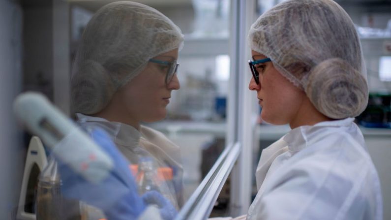 Una investigadora trabaja en el desarrollo de una prueba del virus del PCCh en los laboratorios de la Universidad Federal de Río de Janeiro (UFRJ) en Río de Janeiro, Brasil, el 02 de abril de 2020. (MAURO PIMENTEL/AFP vía Getty Images)