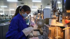 Fábricas chinas cierran mientras los pedidos de exportación se agotan en medio de la pandemia