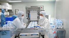 Países que luchan contra la pandemia rechazan productos médicos de mala calidad fabricados en China