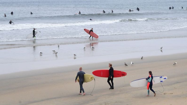 Los surfistas llevan sus tablas y montan las olas en Newport Beach, California, en medio de la pandemia del virus del PCCh del 30 de abril de 2020. (FREDERIC J. BROWN/AFP vía Getty Images)