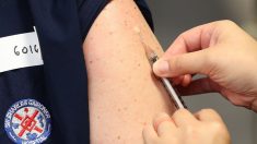 Vacuna contra el virus del PCCh podría estar disponible en otoño de 2020, dicen investigadores