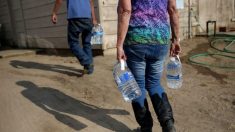 Grupos de abogados piden moratoria a cortes de suministro de agua durante la pandemia