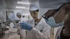 Revelaciones del virus arrojan sospechas sobre los esfuerzos de “guerra sin restricciones” de China