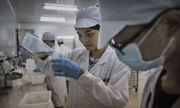 Técnicos chinos en un laboratorio para el estudio de enfermedades tropicales en la ciudad de Guangzhou, provincia de Guangdong, China, el 21 de junio de 2016. (Kevin Frayer/Getty Images)