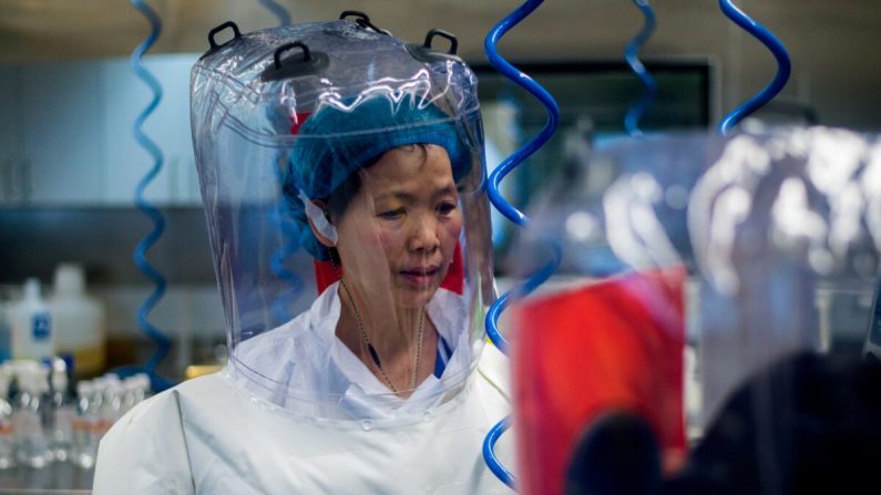 La viróloga china, Shi Zhengli, dentro del laboratorio P4 de Wuhan, el 23 de febrero de 2017. (Johannes Eisele/AFP vía Getty Images)