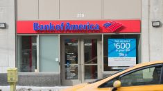 Bank of America registra caída del 45% en beneficios y se prepara para préstamos incobrables