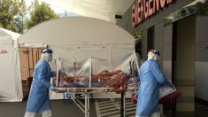 Perspectivas de la pandemia: ¿Por qué el brote en Ecuador ha sido tan fuerte?